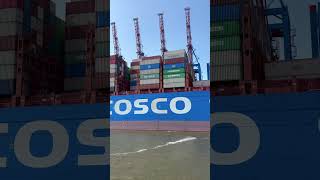 COSCO Shipping LEO [upl. by Nosnar]