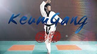 🥋 KeumGang Step by Step Explanation  WT Taekwondo Black Belt Poomsae  품새 금강  TaekwonWoo [upl. by Zoeller707]