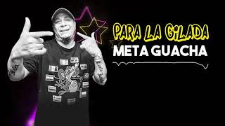 Repiola Damas Gratis Los Pibes Chorros Meta Guacha Enganchado Villero [upl. by Ayak491]