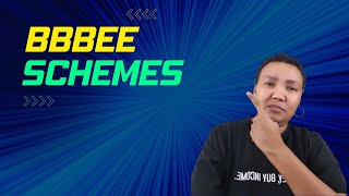 BBBEE Scheme Basics  Explain It Like I am Five [upl. by Neesay]