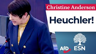 Sie sind Heuchler – Christine Anderson AfD [upl. by Margaretta]