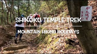 Shikoku Temple Trek  Japan  Mountain Hiking Holidays [upl. by Htebezile5]