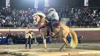 🐴 CABALLOS BAILADORES 🎡 FERIA GANADERA DE CULIACÁN 💯 [upl. by Kizzee]