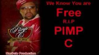 Pimp C Obituary [upl. by Wenger]