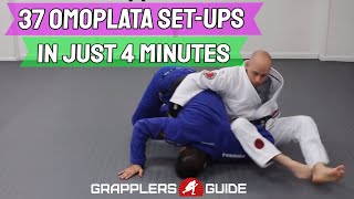 37 Omoplata Set Ups In Just 4 Min  Jason Scully  Matt Kirtley Aesopian  BJJ Grappling [upl. by Blythe31]