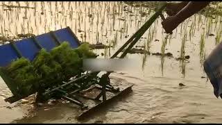 Manual Rice transplanter machine [upl. by Kassaraba]