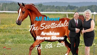 Scottsdale Arabian Horse Show 2024 [upl. by Jaquelin758]