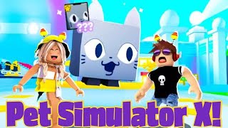 We Trade in PET SIMULATOR X for the FIRST Time New DREAM Pet [upl. by Nesyrb260]