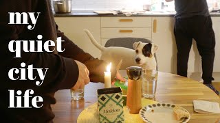 Oslo Norway Slow city life with a dog  Silent vlog  Thoughts on work  life balance [upl. by Aneis]