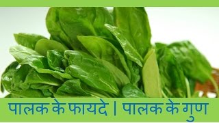 पालक खाने के फायदे  पालक के गुण  Health Benefits of Spinach [upl. by Blynn218]