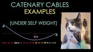 EXAMPLES Catenary Cables Cables Under Self Weight  Learn with Pi [upl. by Wallace]