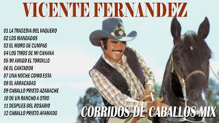 VICENTE FERNANDEZ CORRIDOS DE CABALLOS MIX  VICENTE FERNÁNDEZ SUS MEJORES ÉXITOS [upl. by Yvonne]