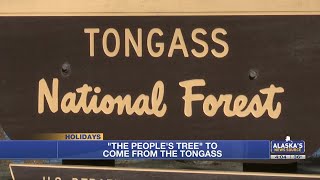 Capitol Christmas tree to come from Tongass National Forest [upl. by Ellison766]