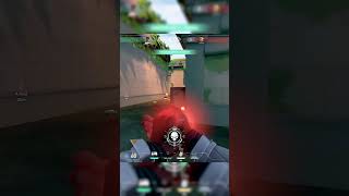 Insane clutch with Phoenixvalorant gekkoability battleroyalegame valorantclipsgekko mobilegame [upl. by Kit817]