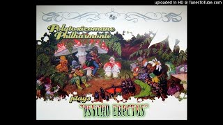 Polytoxicomane Philharmonie Plays Psycho Erectus ► Flight 858 HQ Audio 2003 [upl. by Aihseyk760]