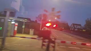 Arriva Trajectvideo Tiel  Arnhem Centraal  Sprut 259 [upl. by Nilpik]