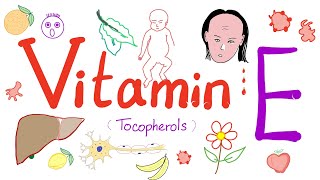 Vitamin E 🍎 🍊 🥦 🥬 Tocopherol  Everything You Need to Know [upl. by Ruscher204]