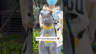 Cat travel backpack kittten kitty cat catlover cats [upl. by Loren28]