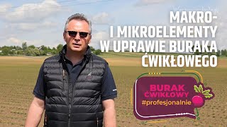 Makro i mikroelementy w uprawie buraka ćwikłowego Projekt Burak Ćwikłowy profesjonalnie cz 2 [upl. by Nylyrehc]