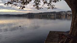 Abendstimmung Rapperswil ZÃ¼richsee [upl. by Yrrak]