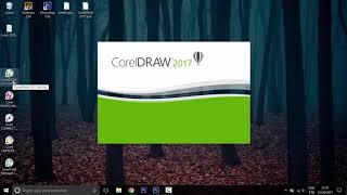 INSTALAÇÃO E ATIVAÇÃO COREL DRAW 2017 [upl. by Sibyls735]