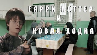 Гарри Поттер Смешная озвучка [upl. by Anilek]