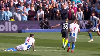 Throwback Riyad Mahrez World Class Perfomance amp goal V BRIGHTΟN PL1819 Game Week 38 [upl. by Jacky]