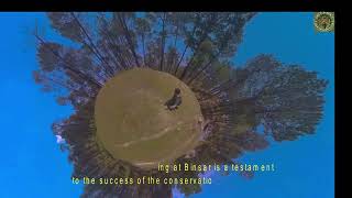 insta360 solo travel Binsar forest [upl. by Britta]