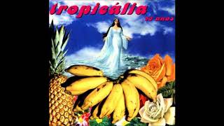 Tropicália 30 anos  full album [upl. by Gallard]