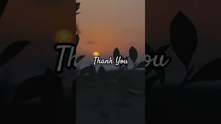 Thank You Positive Evening Affirmations For Women YouTubeShorts Gratitude AffirmationsShortVideo [upl. by Adara]