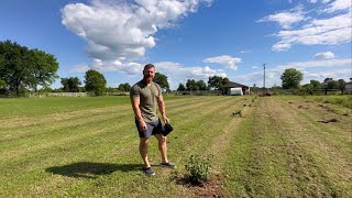 quotJuicy and Sweet How to Plant Arapaho Thornless Blackberries for a Bountiful Harvestquot [upl. by Acilejna]