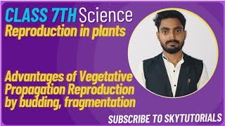 Reproduction in Plants Advantages of Vegetative Propagation Reproduction by budding fragmentation [upl. by Yensehc466]