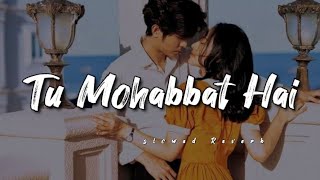 Tu Mohabbat Hai Tu Ishq Hai slowed Reverb Lofi song lyrics ❤️🎧sadviralvideo [upl. by Annohsal]