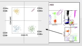 Clase Citometria de Flujo  MicroBiologia [upl. by Shimberg]