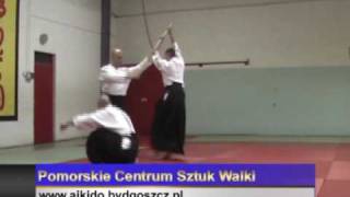 Przemysław Bobkowski  4 dan aikido  PCSW Bydgoszcz [upl. by Trude]