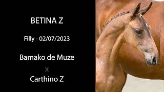 NR 16  BETINA Z Bamako de Muze x Carthino Z [upl. by Saxe]