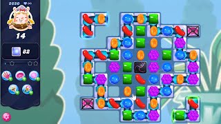 Candy Crush Saga LEVEL 2620 NO BOOSTERS new version🔄✅ [upl. by Thamos423]