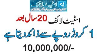 Rs 100000 Yearly Premium and Earn 10000000 After 20 Years  State Life Insurance [upl. by Bitthia]