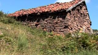 Ataques de lobos en Asturias [upl. by Warrenne]