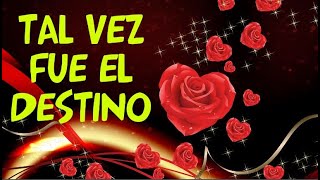 El Destino hacia tu Amor 💗 🥰💕 poemas de amor ozletras ✅ amor poemas viral fyp 🥰 [upl. by Flanna]