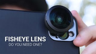 Do you need a Fisheye Lens  SANDMARC [upl. by Sheff]