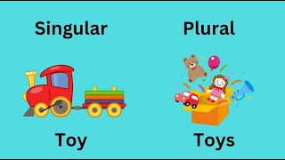 Singular and Plural Nouns Explained for Beginners [upl. by Eoz395]