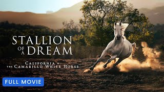 Stallion of a Dream  Full Movie [upl. by Ayotal]