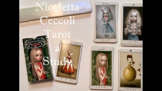 Nicoletta Ceccoli Tarot  a study [upl. by Molli780]