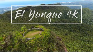 El Yunque Puerto Rico 4K  DJI FPV [upl. by Kilk]