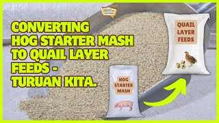 Converting Hog Starter Mash to Quail Layer Feeds  Turuan Kita [upl. by Allie183]