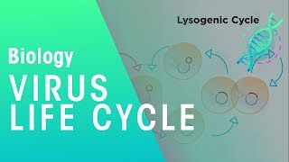 Virus Life Cycle  Health  Biology  FuseSchool [upl. by Frederico]