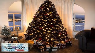 Dakota 9ft Black Christmas Tree Prelit with 2392 Branch Tips 950 Warm Review [upl. by Etnom]