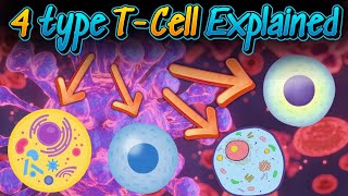 TCells In Hindi  T Cells kitne type ke hote hai  4 types TCells  TCells kese kaam karti hai [upl. by Yltneb]