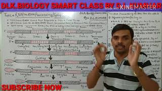 mRNA Processing Split Gene Tailing PolyadenylationCappingSplicing In Hindi [upl. by Delogu]